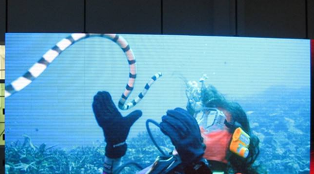 美股四次熔斷,會(huì)對(duì)室內(nèi)全彩led顯示屏行業(yè)造成怎樣的影響呢